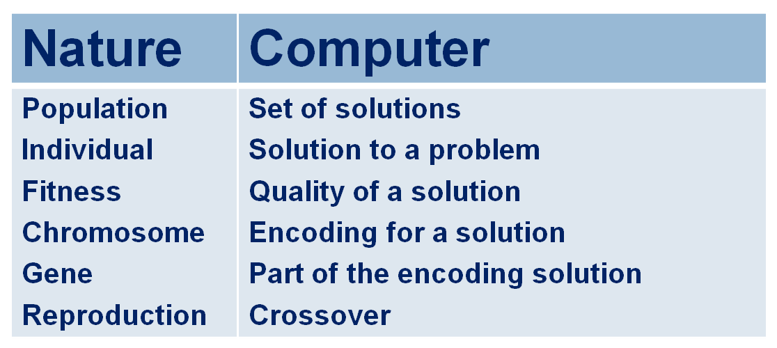 Analogy between Nature and Generic Algorithm