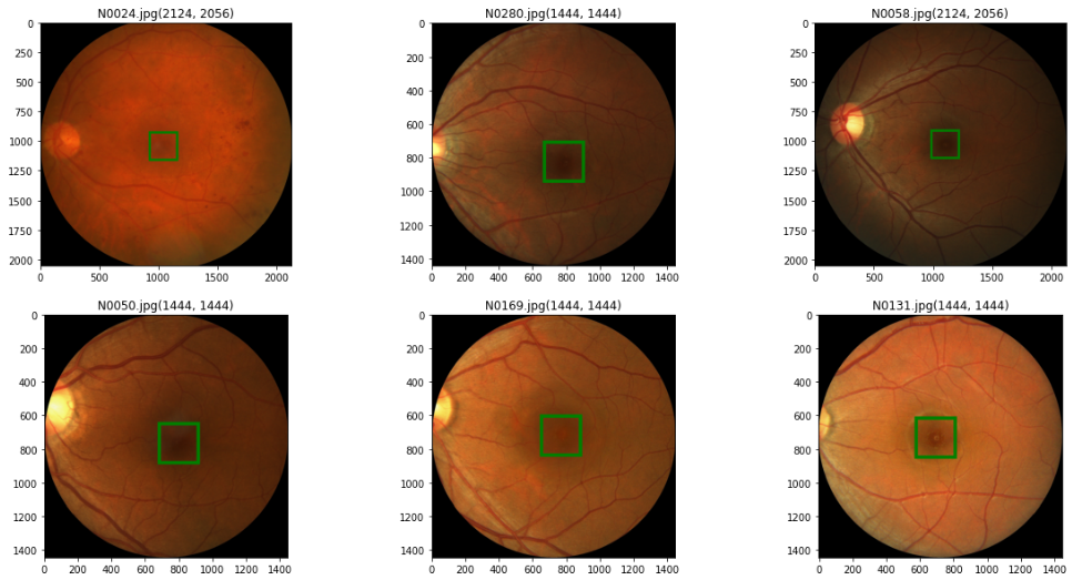 A look into Dataset with image size